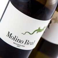 Molino Real - 50 cl