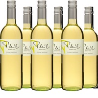 Grüner Veltliner Weingut Pleil