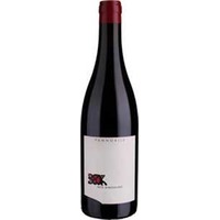 Judith Beck: Pannobile BIO -