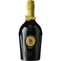 Spumante Ribolla Gialla BIO - Mister Bio Wine