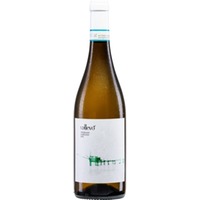 Frentana Vallevo Trebbiano d'Abruzzo, Trebbiano d'Abruzzo DOC, Abruzzen, 2024, Weißwein