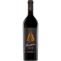 Terrecarsiche 1939 Fanova Primitivo Riserva, Puglia IGP, Apulien, 2020, Rotwein