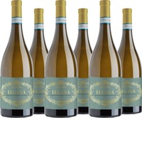 Authentique Lugana DOC