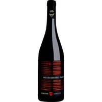 Negroamaro Puglia IGP BIO - Cantine Losito