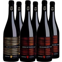 Cantine Losito Rotwein-Paket BIO - Cantine Losito