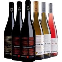 Cantine Losito Kennenlern-Paket BIO - Cantine Losito