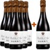 5+1 Brachetto d'Acqui Spumante DOCG-Paket - Guasti 