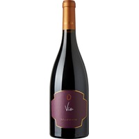 Vio Vino e Visciole - Mazzola