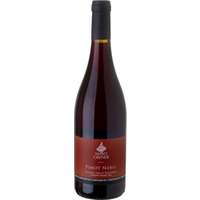 Pinot Nero Vigneti delle Dolomiti IGP - Maso Grener