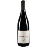 Borgognoni Rosso Vigneti delle Dolomiti IGP - Delaiti