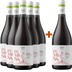 5+1 Paket Femina Rosso Etna DOC BIO - Cantine Patria 