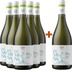 5+1 Paket Femina Bianco Etna DOC BIO - Cantine Patria 