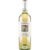 Perantonie Chardonnay Veronese IGP BIO - Società Agricola Fasoli Gino