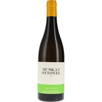 Muskat Ottonel Velich