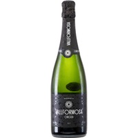 Vallformosa Origen Cava Reserva Bio, Brut, Cava DO, Cava, 2022, Schaumwein