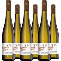 Weisser Burgunder QbA trocken Punktlandung