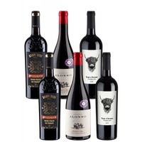 6er-Grillwein Paket - Weinpaket