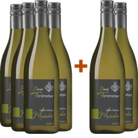 4+2 Paket Grüner Veltliner Maische - Weingut Forstreiter