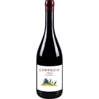 Cámbrico Villanueva Sierra de Salamanca DOP trocken - Viñas del Cambrico