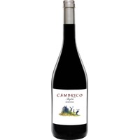 Cámbrico Miranda Sierra de Salamanca DOP trocken - Viñas del Cambrico