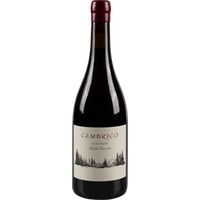 Cámbrico Jamarón Sierra de Salamanca DOP trocken Bio - Viñas del Cambrico