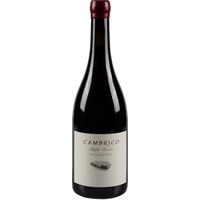 Cámbrico Rufete Valleoscuro Sierra de Salamanca DOP trocken - Viñas del Cambrico