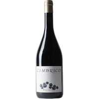 Cámbrico Tempranillo Sierra de Salamanca DOP trocken - Viñas del Cambrico