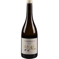 Cámbrico Rufete Blanco Granito Sierra de Salamanca DOP trocken - Viñas del Cambrico