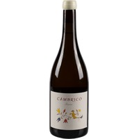 Cámbrico Rufete Blanco Pizarra Sierra de Salamanca DOP trocken - Viñas del Cambrico