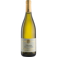 Monteolivo, Moscato d' Asti DOCG, Piemont, 2024, Weißwein