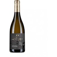 Schlossberg - Grauer Burgunder