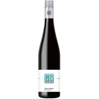 Ried Galgenberg Grüner Veltliner trocken - Weingut Berger