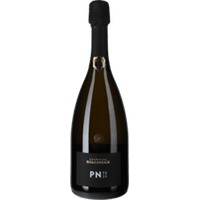 Champagne PN TX 20 Blanc de Noirs Brut Flaschengärung