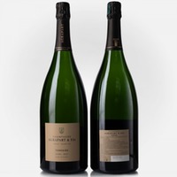 Terroirs Extra Brut Blanc de Blancs Grand Cru