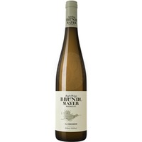 Grüner Veltliner Vordernberg DAC J&P Bründlmayer