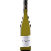 Knewitz Riesling, Trocken, Rheinhessen, Rheinhessen, 2024, Weißwein