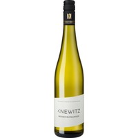 Knewitz Weißburgunder, Trocken, Rheinhessen, Rheinhessen, 2023, Weißwein