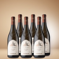 Tommasi Le Fornaci Lugana Riserva 6er Vorratspaket