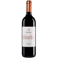 Merlot - Wachter Wein
