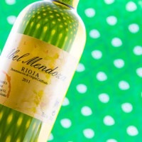 Abel Mendoza Malvasía