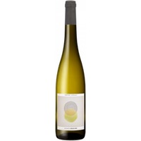 Riesling - Sophie Schaal