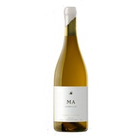 Andrea Mufatto Godello