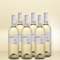 Librandi Cirò Bianco 6er Vorratspaket