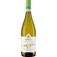 Terra delle Lame Verdicchio dei Castelli di Jesi Classico DOC trocken - Vignamato