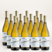 Librandi Critone Bianco 12er Vorratspaket