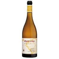 Martín Códax Gallaecia