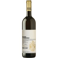 Friulano Collio