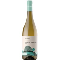 2023/2024 Fiano di Avellino