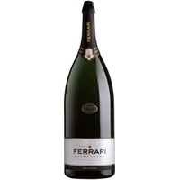 Brut Trentodoc Salmanazar 9L
