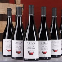 Vernatsch Fass Nr. 9